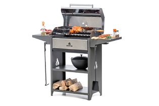 Family Optima BBQn
